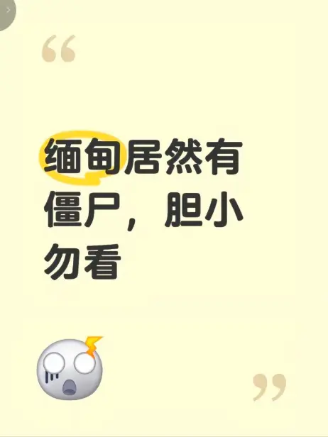 《缅甸僵尸出土事件》高清完整版在线观看-缅甸僵尸出土事件现场全程录像揭秘-缅北神秘事件真相免费播放