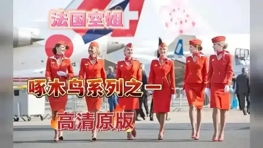《法国空姐2019/不雅空乘》1080P蓝光画质无删在线看-法国空姐未删减版全集免费观看-职场情感电影高清中字无障碍播放