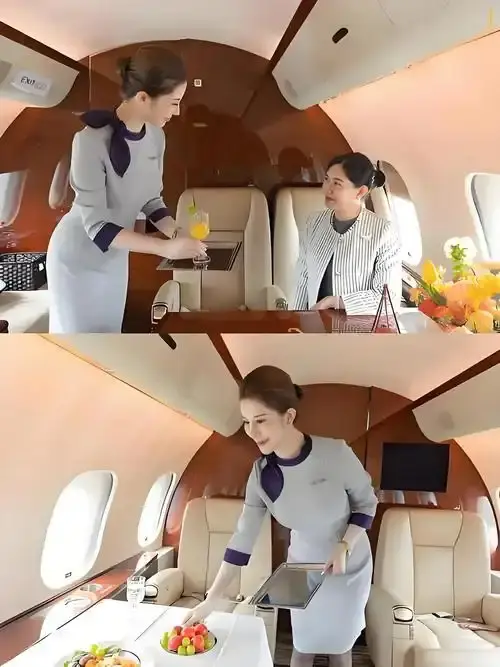 《私人航空/法国航空》未删减版HD高清在线观看-私人航空/法国航空完整版免费播放-无广告无弹窗